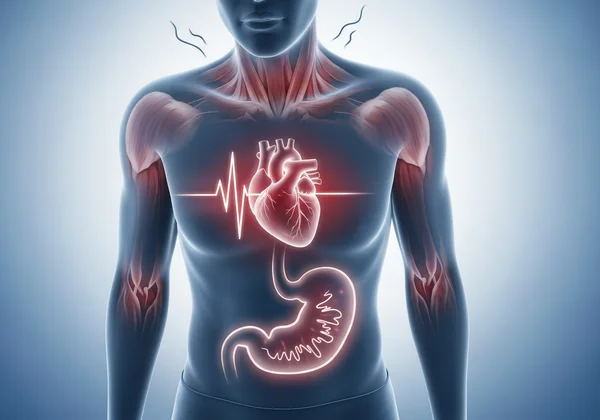 คนที่มีอาการวิตกกังวล โดยเน้นส่วนหัวใจ ศีรษะ และท้อง